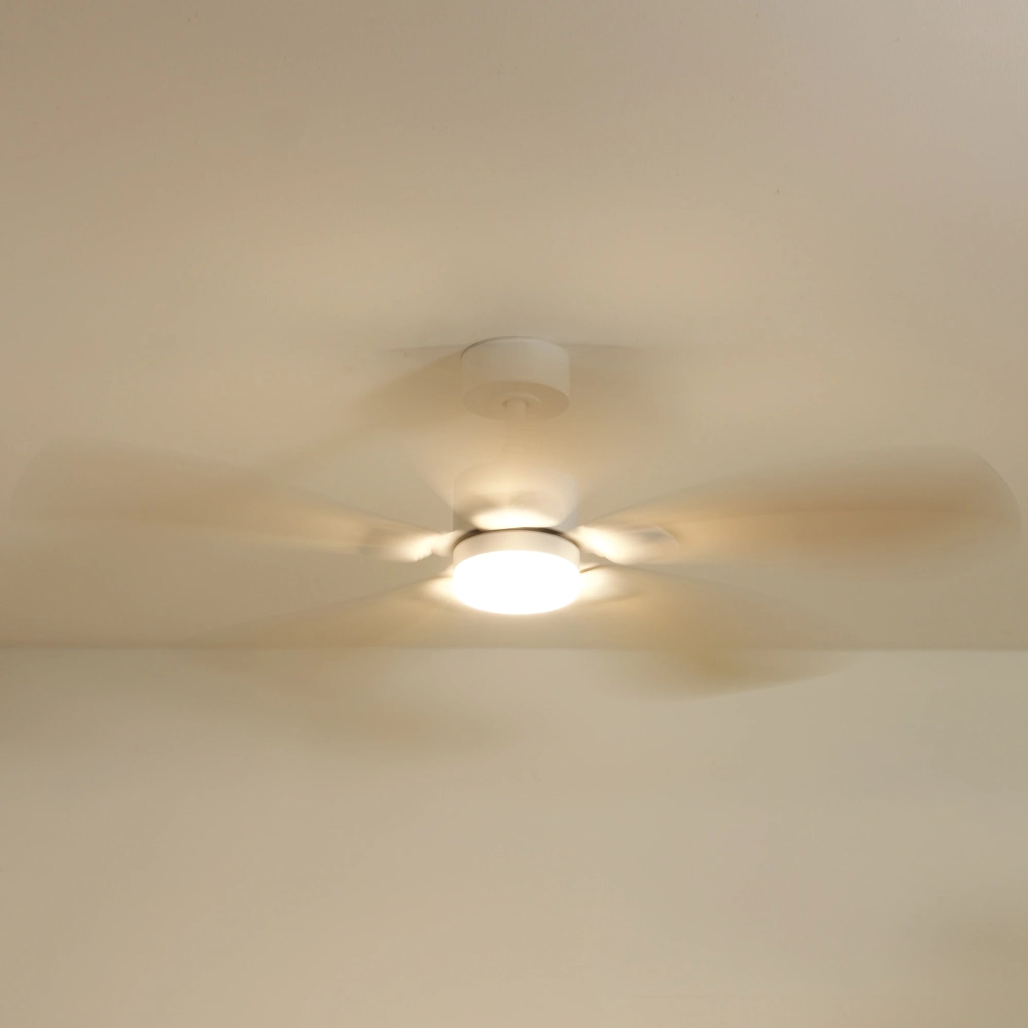 Libellule | Ventilateur de plafond
