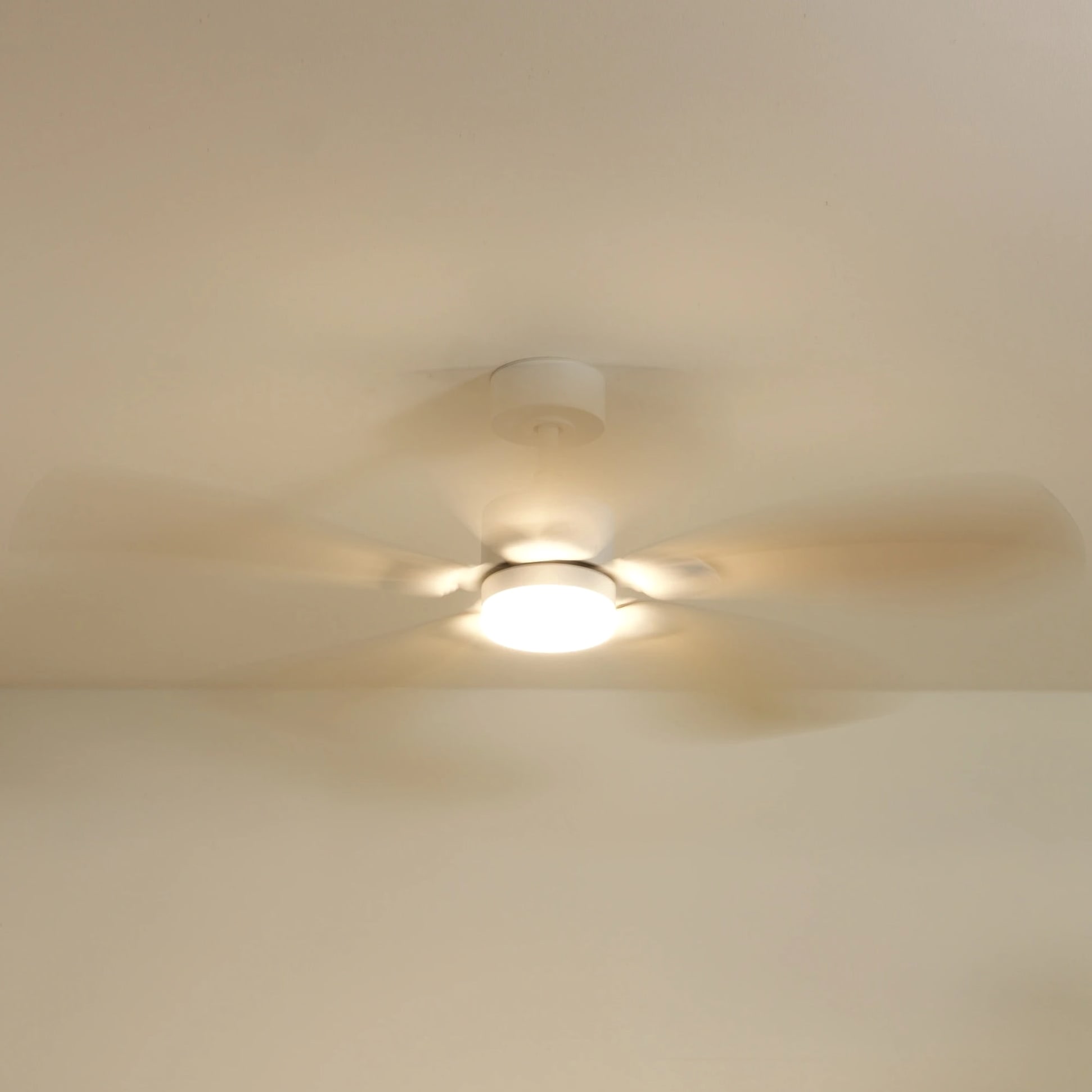 Libellule | Ventilateur de plafond