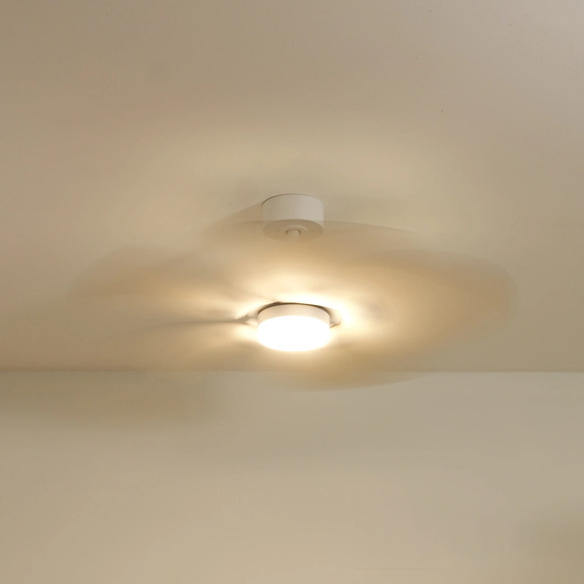 Dahlia | Ventilateur de plafond