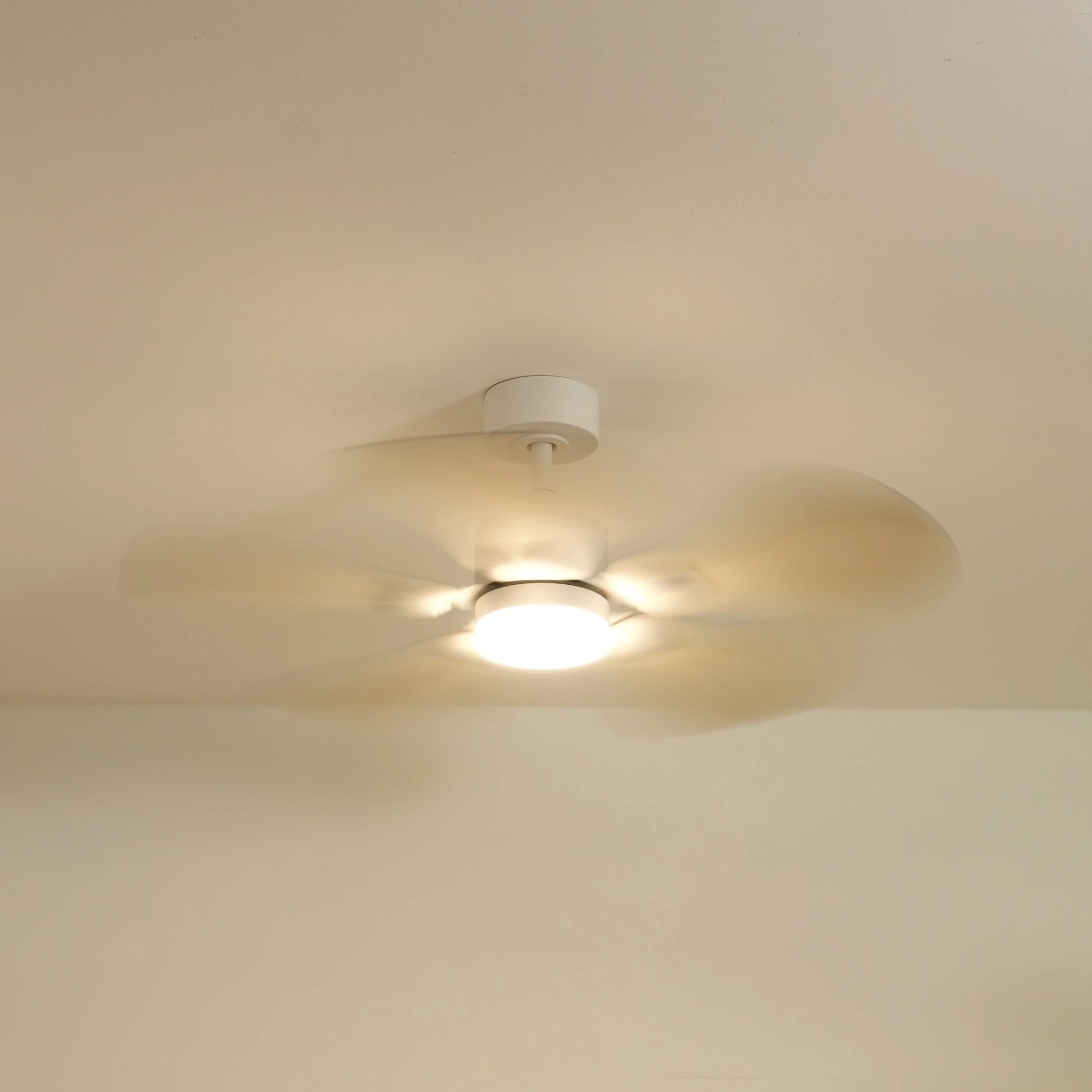 Anémone | Ventilateur de plafond