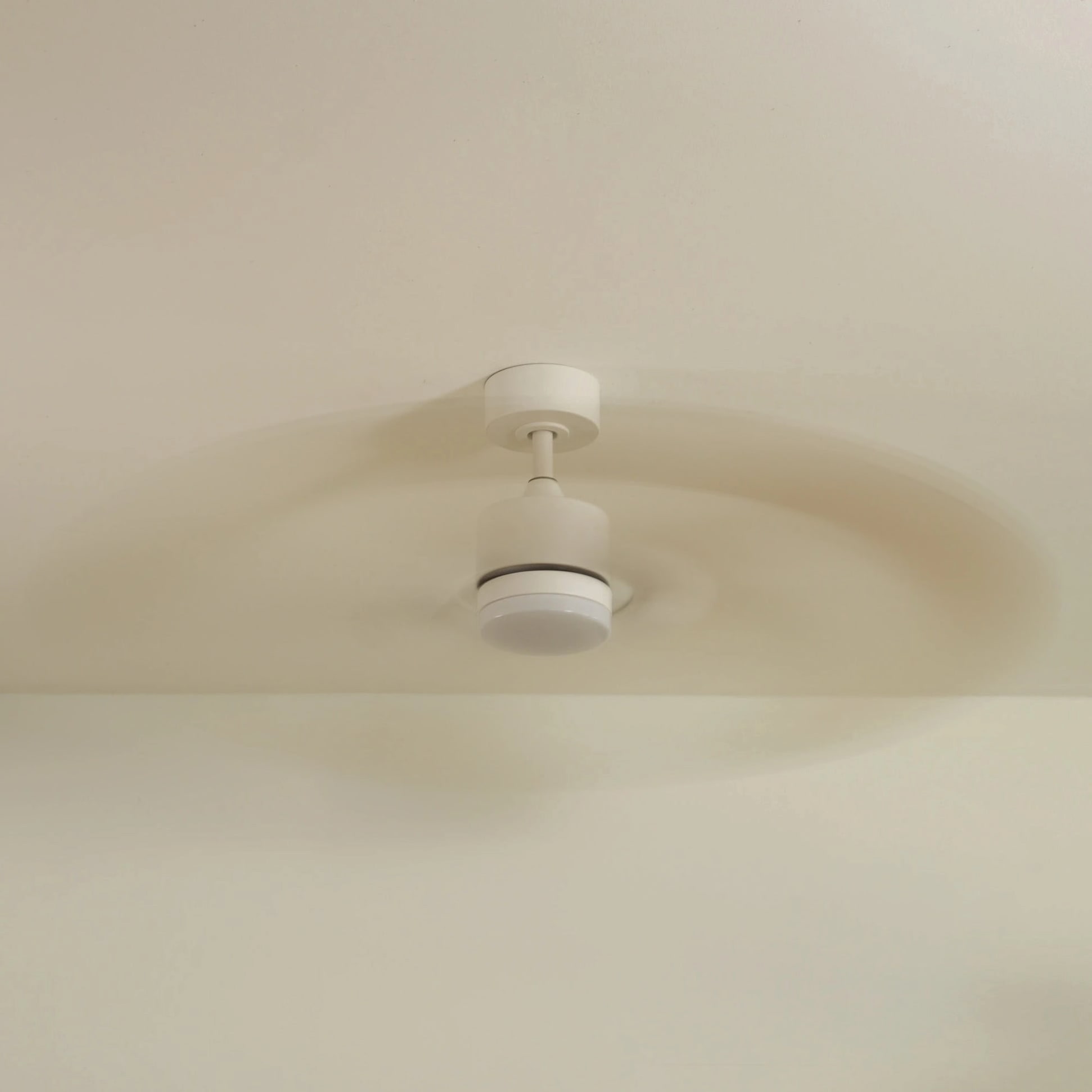 Colibri | Ventilateur de plafond