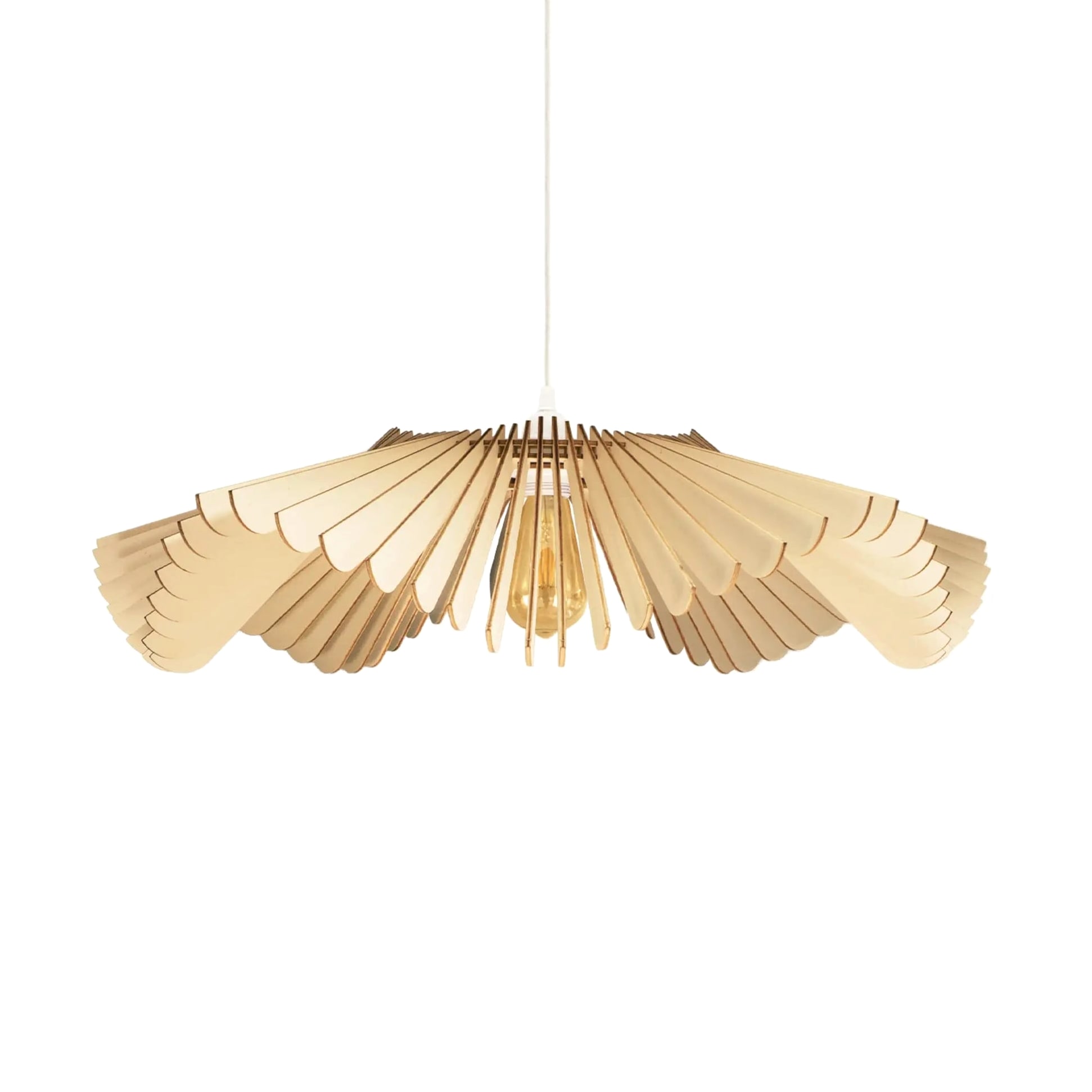 Rose | Suspension