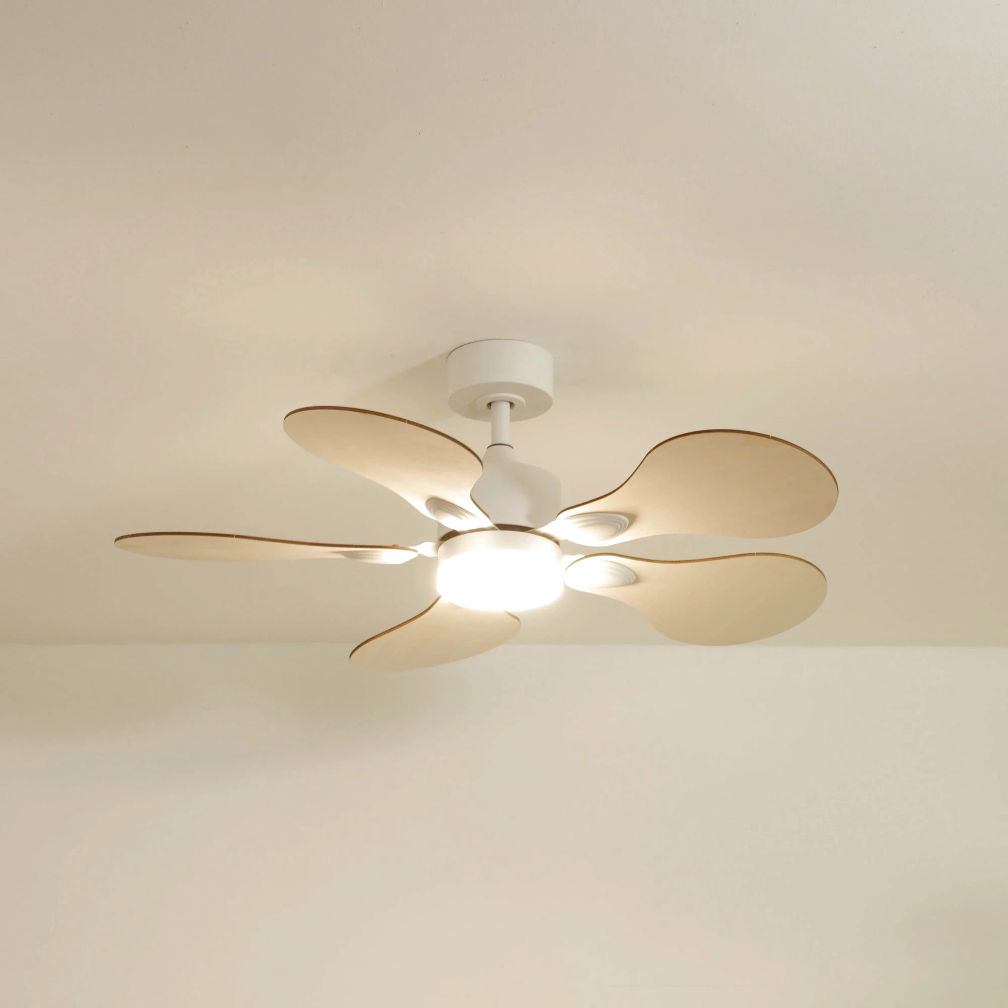 Anémone | Ventilateur de plafond