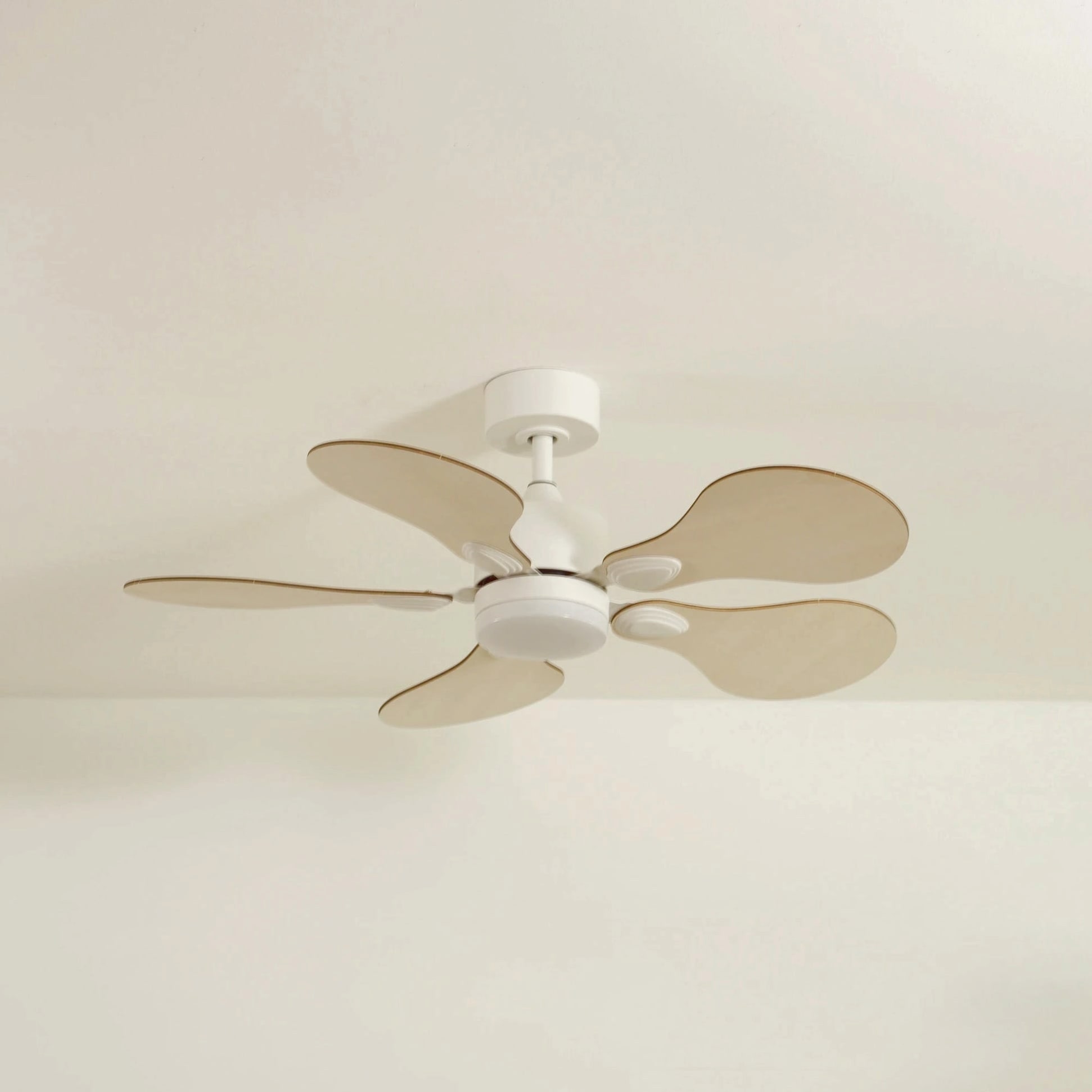 Anémone | Ventilateur de plafond