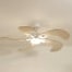 Colibri | Ventilateur de plafond