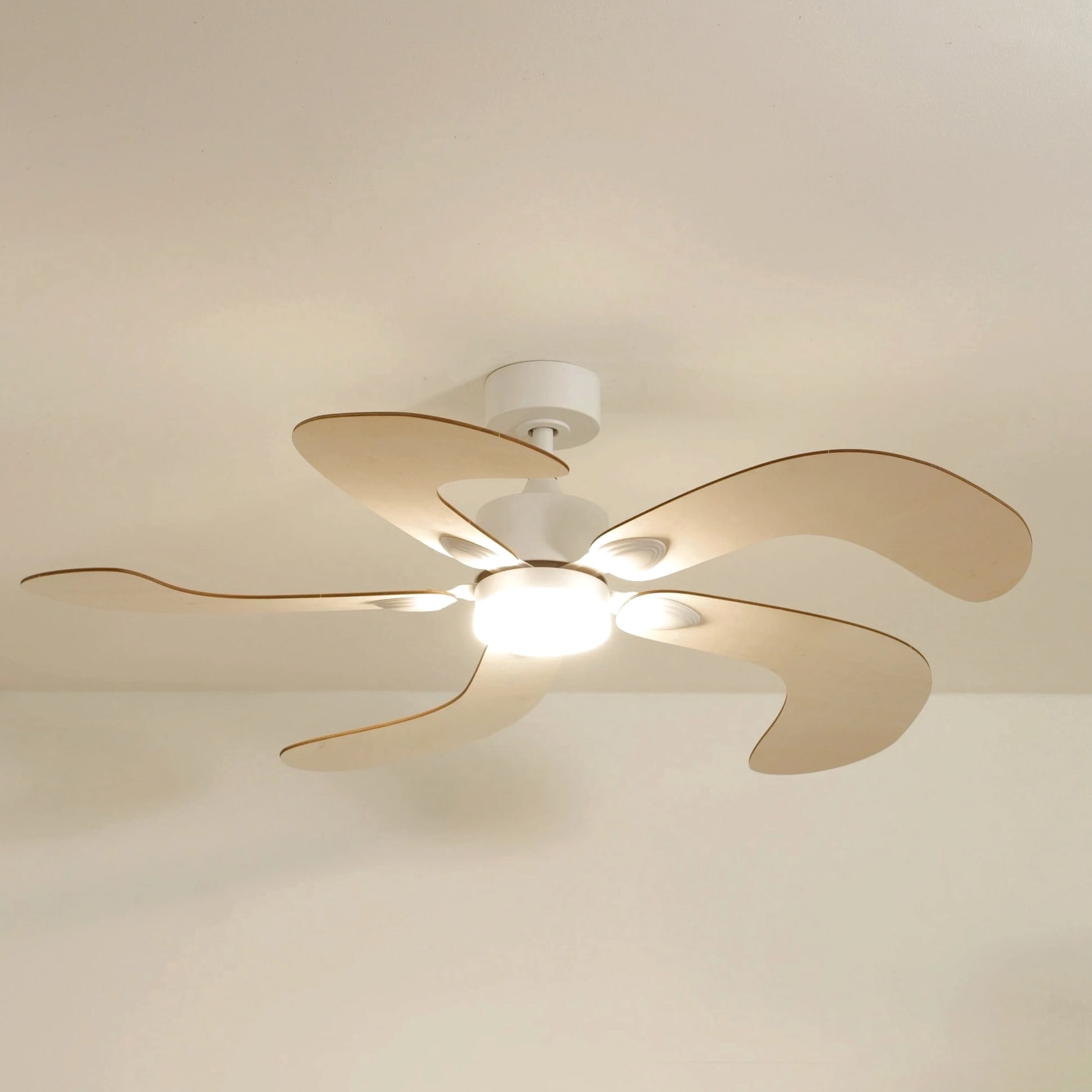 Colibri | Ventilateur de plafond