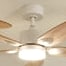 Colibri teinté Chêne | Ventilateur de plafond