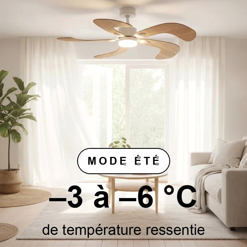 colibri scene ete
