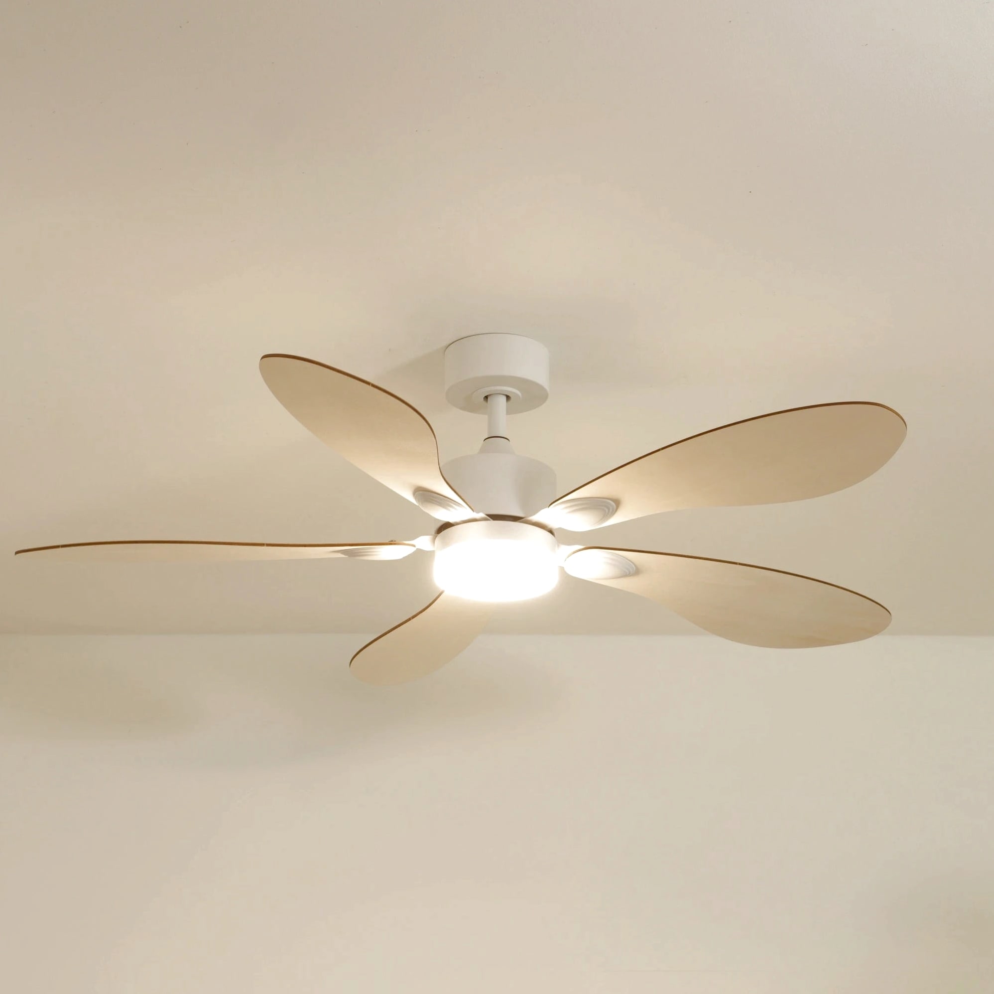 Libellule | Ventilateur de plafond