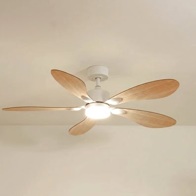 Libellule teinté Chêne | Ventilateur de plafond – Ø 137 cm