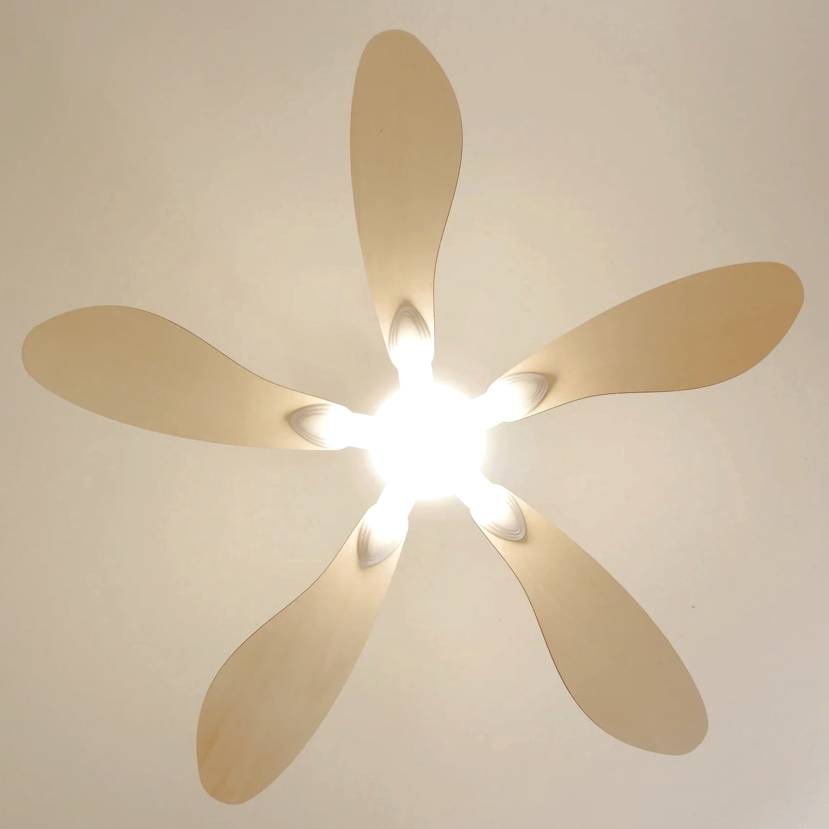 Libellule | Ventilateur de plafond