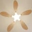 Libellule teinté Chêne | Ventilateur de plafond