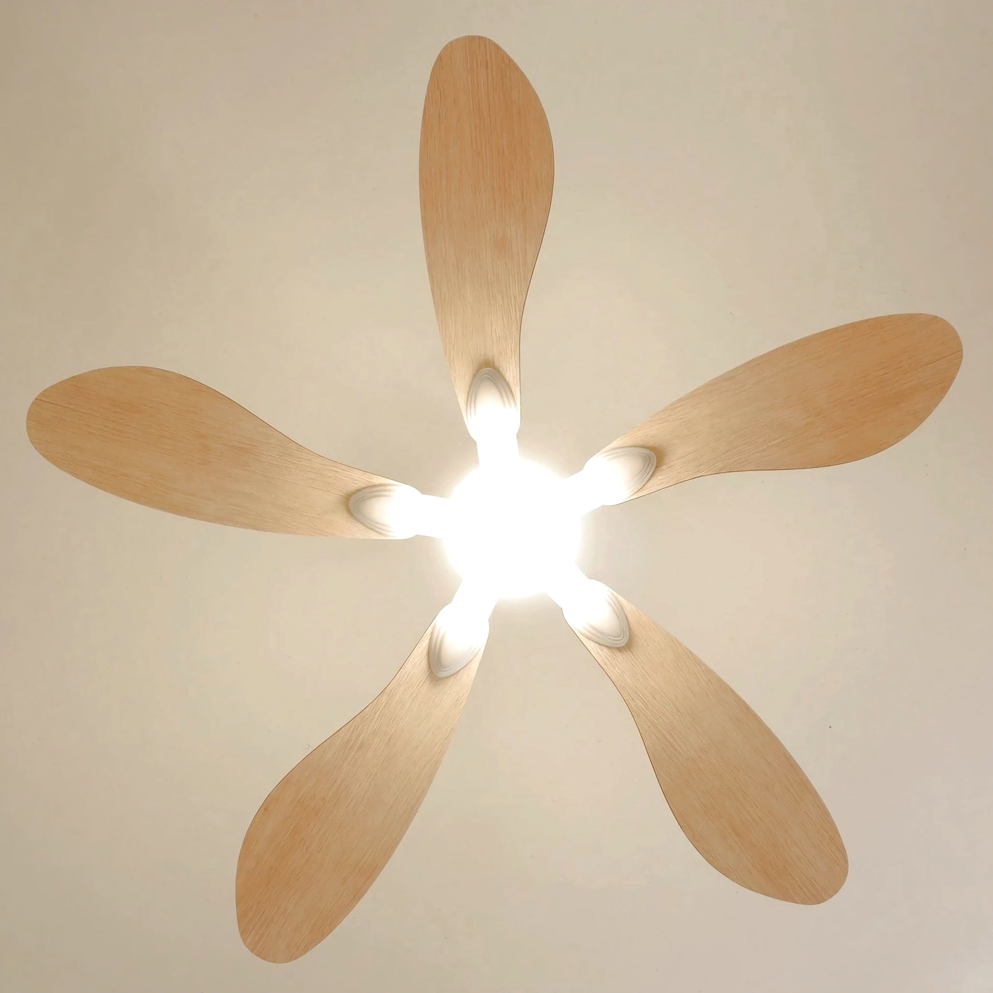 Libellule teinté Chêne | Ventilateur de plafond