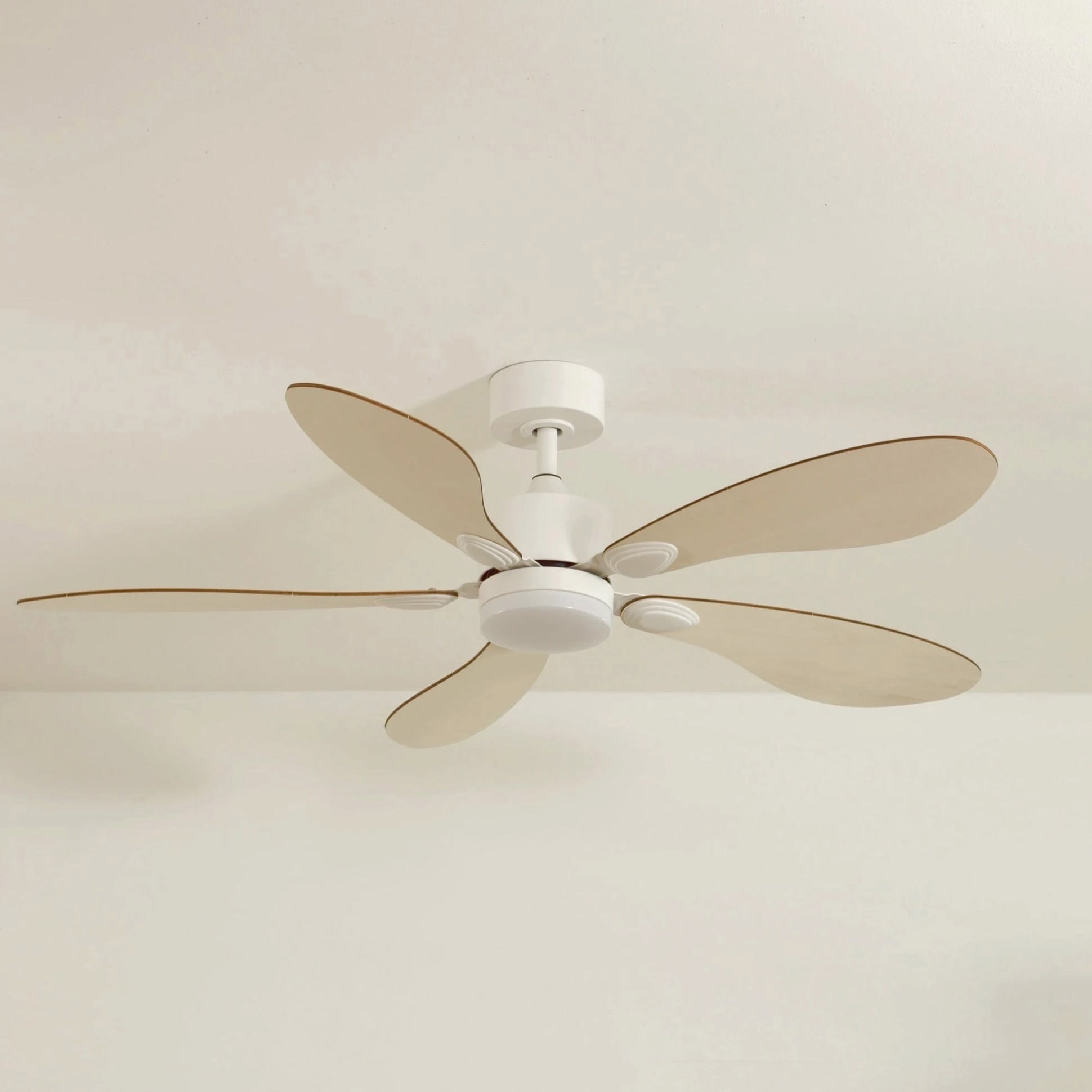Libellule | Ventilateur de plafond