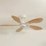 Libellule teinté Chêne | Ventilateur de plafond