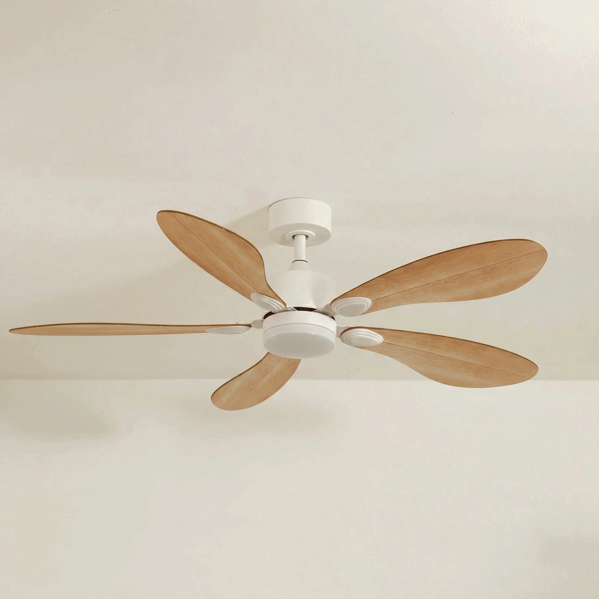 Libellule teinté Chêne | Ventilateur de plafond