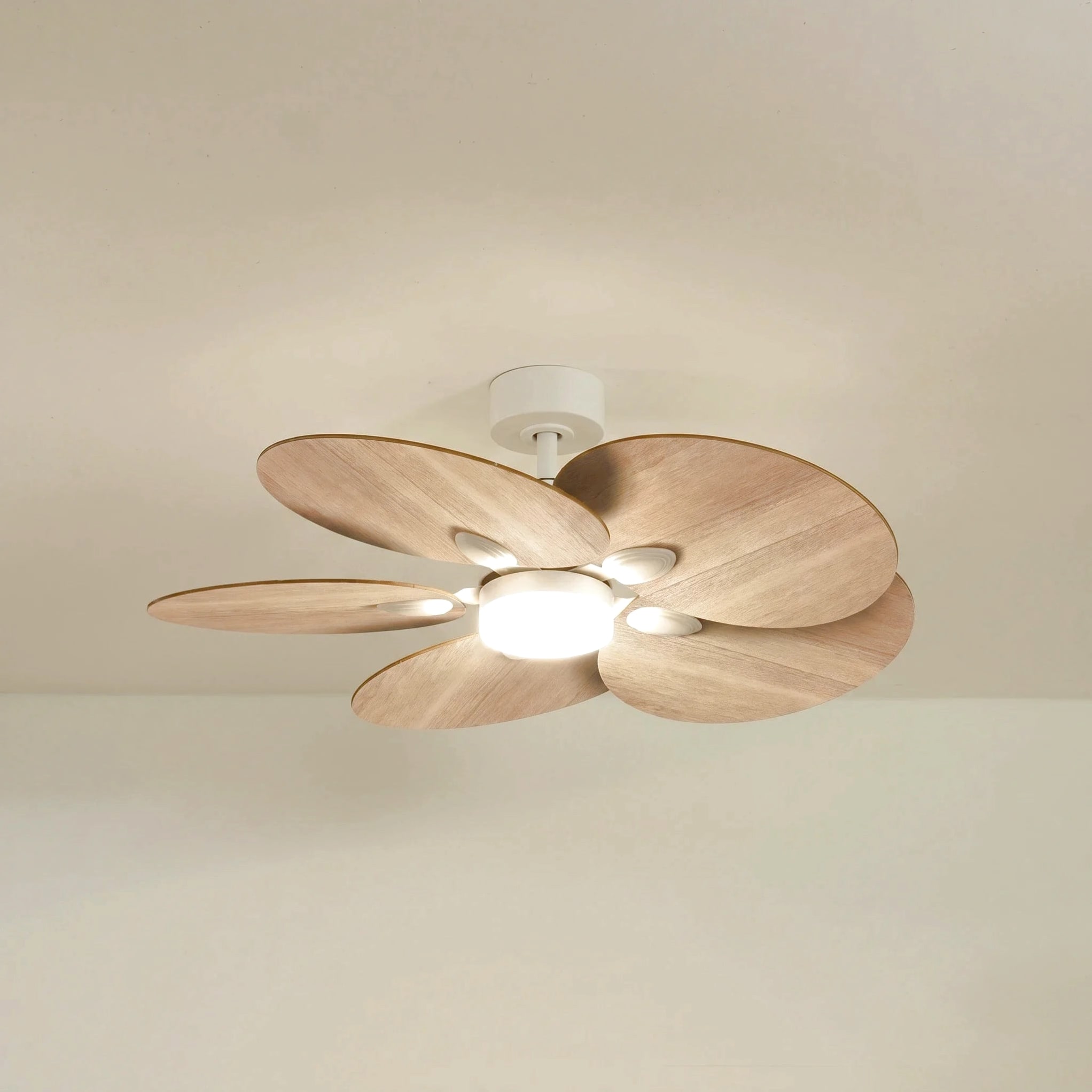 Lotus teinté Chêne | Ventilateur de plafond