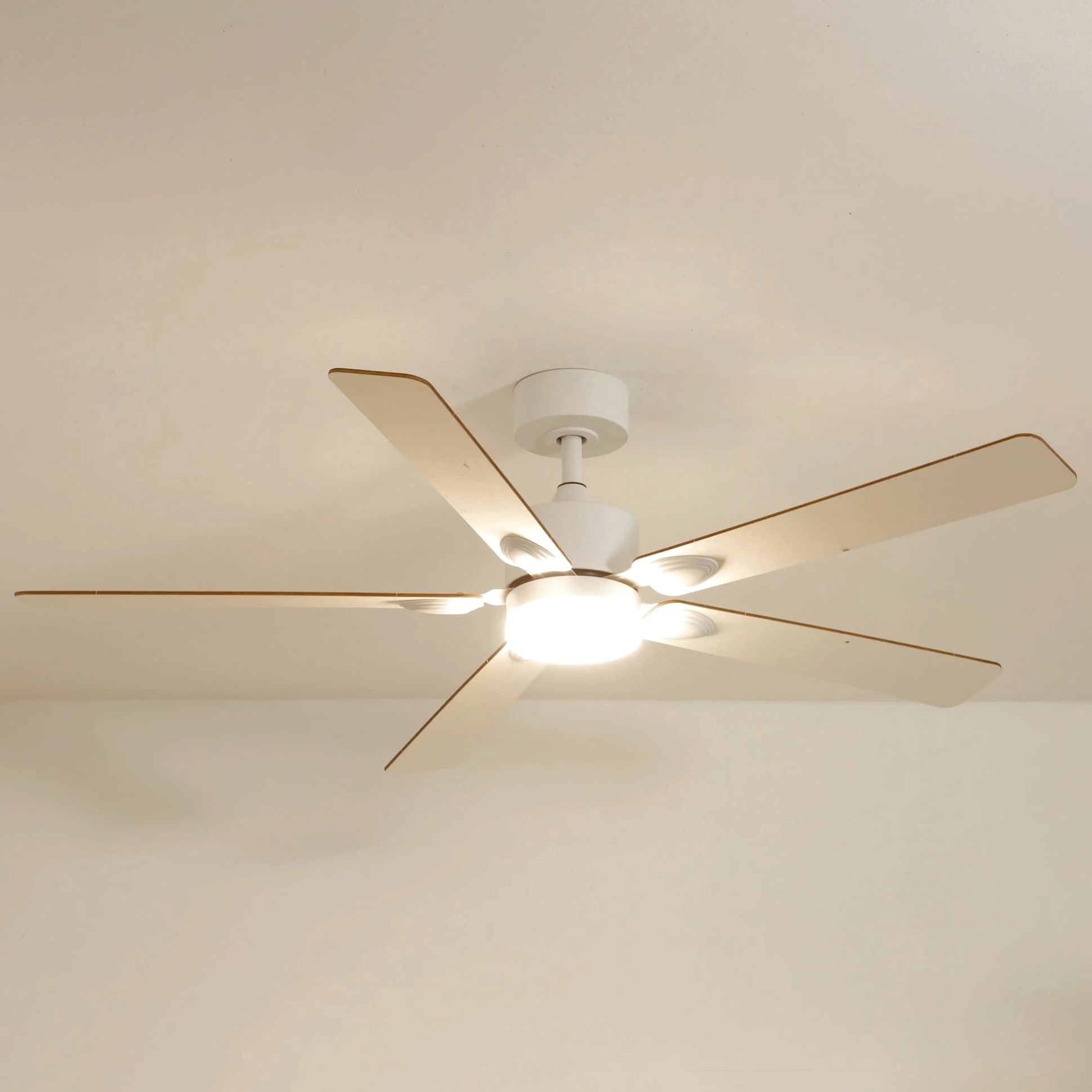 Mistral | Ventilateur de plafond
