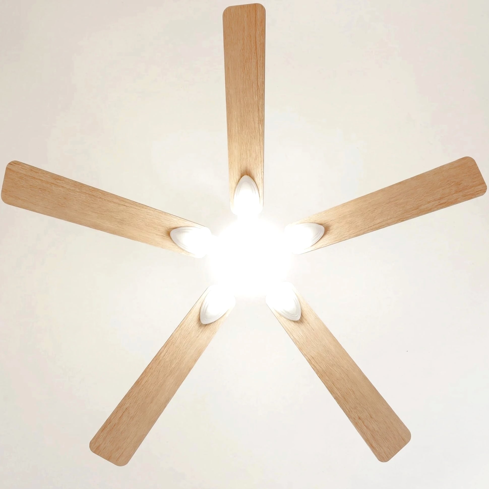 Mistral teinté Chêne | Ventilateur de plafond
