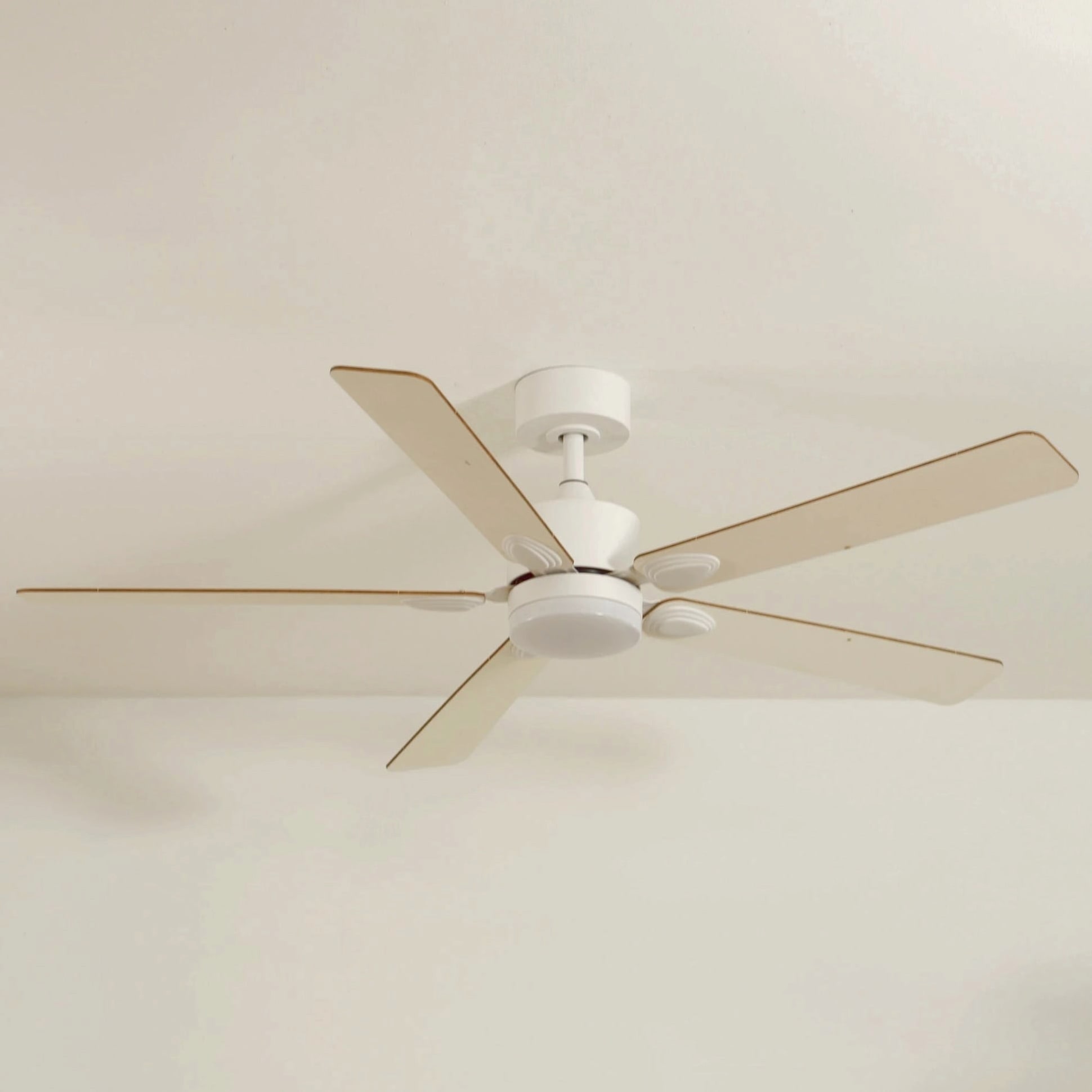 Mistral | Ventilateur de plafond