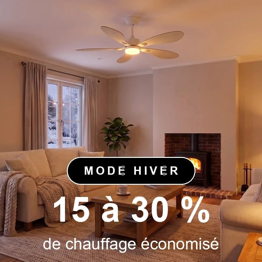 libellule scene hiver