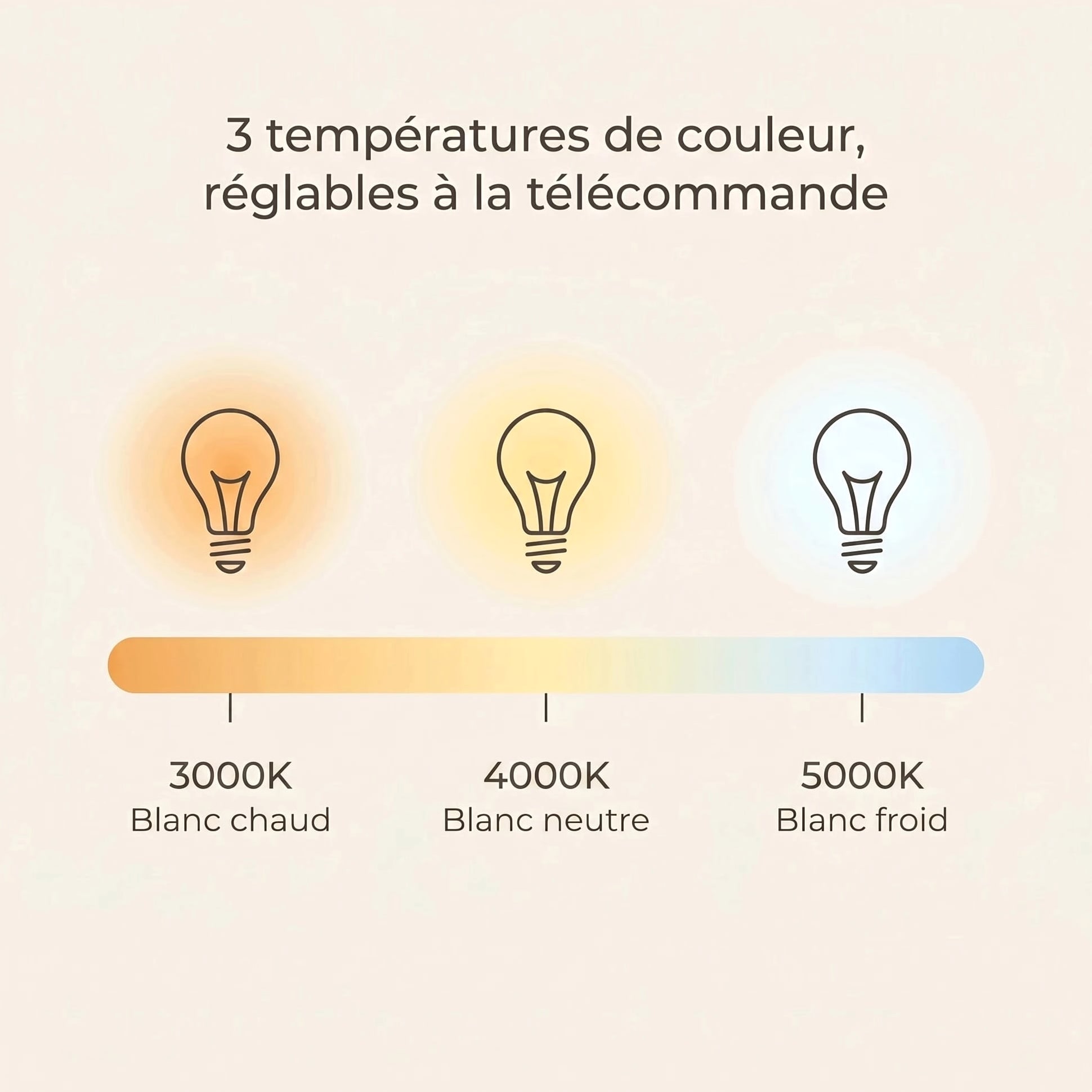 Colibri | Ventilateur de plafond