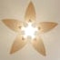 Virevole teinté Chêne | Ventilateur de plafond