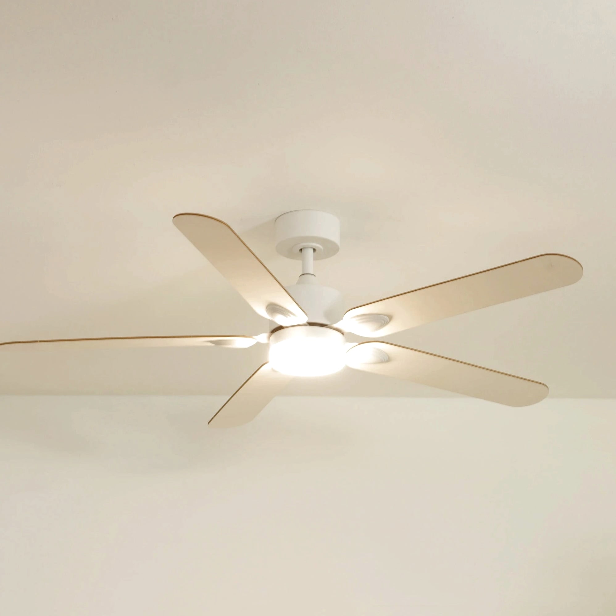 Zéphyr | Ventilateur de plafond