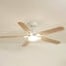 Zéphyr teinté Chêne | Ventilateur de plafond