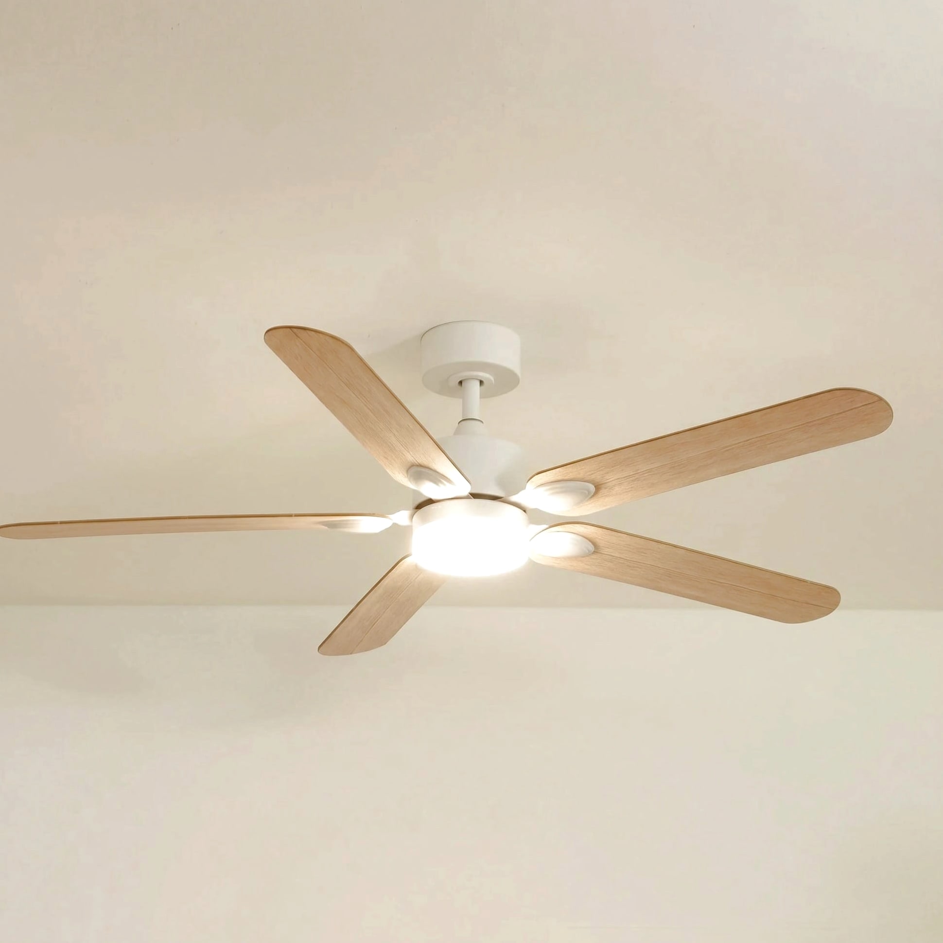 Zéphyr teinté Chêne | Ventilateur de plafond
